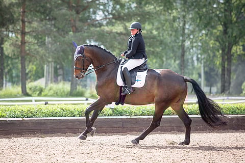 Seuraavaksi Ouluun. Sitten onkin jo Tokion vuoro.