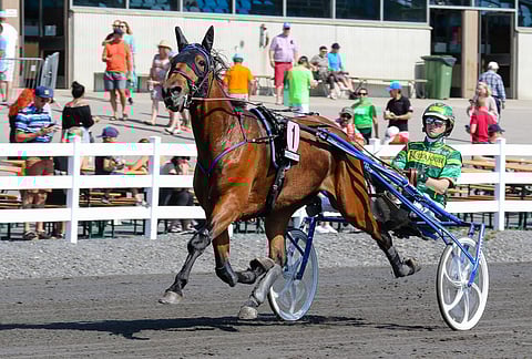 Speedy Scion on Hevosurheilun ideasysteemin näkemysvarma. Kuvasta poiketen ruunaa Seinäjoella ajaa Juha Länsimäki.