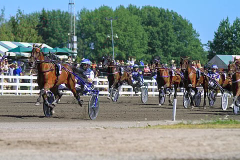Kun muut ovat kovia, mutta yksi on vielä kovempi. Nelivuotias Magical Princess karkasi maalisuoralla ikätovereiltaan jälleen. Kuva: Roosa Lindholm.