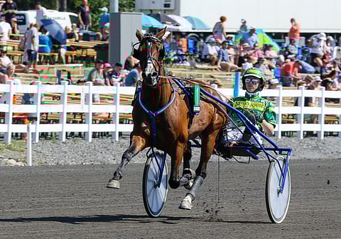 Tito C.A.on Kari Lähdekorven mieleinen ravuri. ”Meno on sille kauhean helppoa, ja se pärjää parhaina päivinään hyvältä lähtöpaikalta täällä vaikka kenelle."