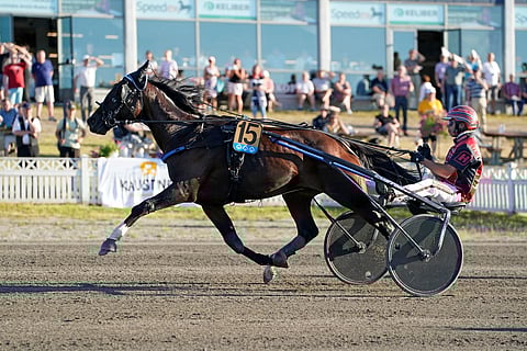 Gogobet Sisu ihastutti Isla-ajossa. Kuva: Kirsi Kantokoski