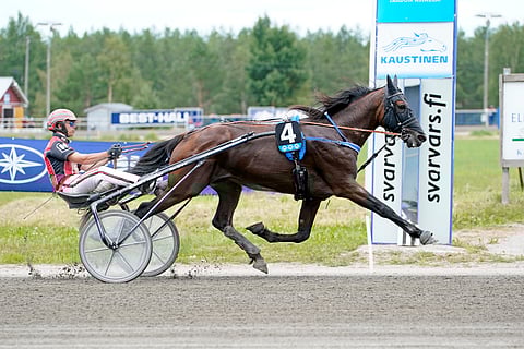 Main Stagen voima puhui pitkän matkan kisassa, kuten teki juhannuksena Härmässäkin.