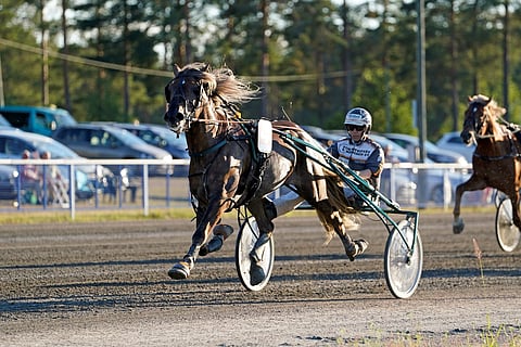 Vieskoff paineli harja hulmuten Pikkupelimannin ykköseksi. Kuva: Kirsi Kantokoski