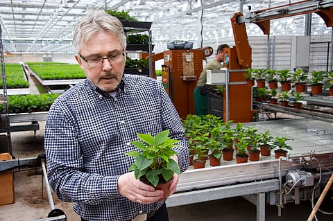 Arvo Ylitalo kasvatti hevosia ja oli tunnettu kauppapuutarhastaan. Kuva: Jari Laurinko/TS