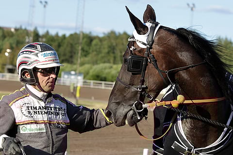 Grainfield Emma ja Seppo Markkula voittivat viikko sitten Vermossa. Seuraavaksi kaksikko nähdään radalla Seinäjoen kuninkuusravilauantain 75-pelin päätöskohteessa. Kuva: Pekka Salonen