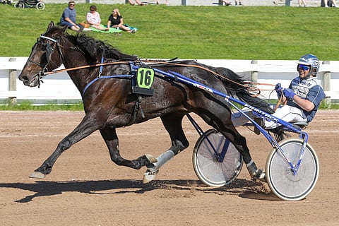 Jasmine Zon lähtee lauantaina Joensuun tammataistoon tiistain Lieksan startti alla. Kuva: Anu Leppänen