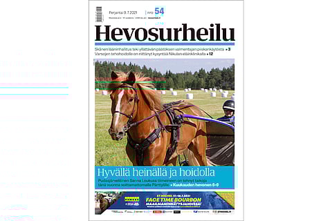 Pärttyl on löytänyt ravivaihteen. Kannen kuva: Harri Lind