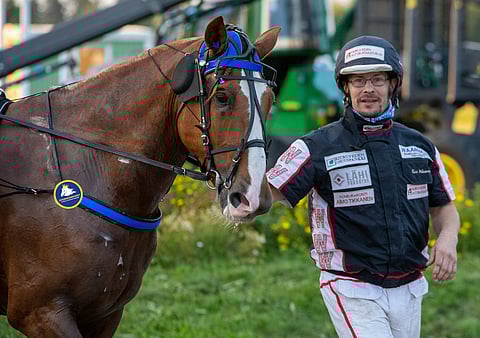 Rintaremmiin kiinnitettävä ruunaruhtinasnappi auttaa seuraamaan Ruunaruhtinas-kisaan tähtääviä hevosia.