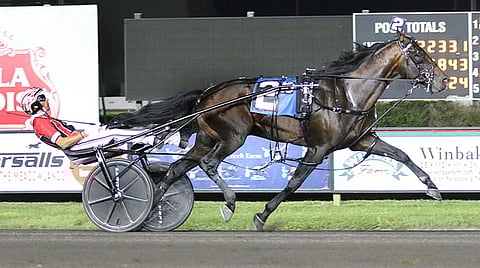 Really Fast on alkanut suorittaa nimensä mukaan. Ori maksoi 700 000 USD Lexingtonin huutokaupassa 2019.