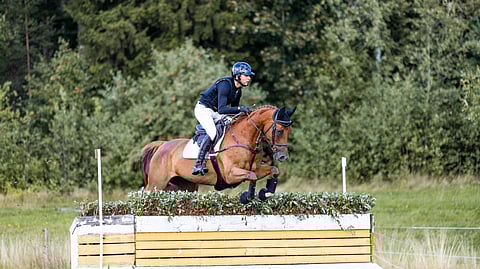 Axel Lindbergin ratsastama Quelle Bonne on Maria Lucander-Aminoffin omistama vuonna 2015 syntynyt tamma Qualitosta.