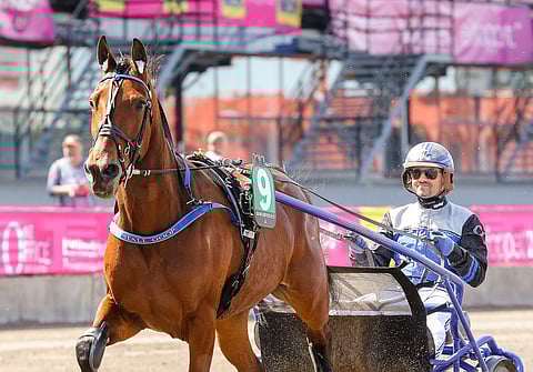 Royce Rolls kilpaili toukokuussa Elitloppet-lauantaina Solvallassa.