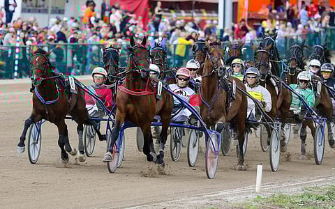 Ithinkiama Genius (vas.) ei kammoksu kuolemanpaikkaakaan, jos kaikki on mallillaan.