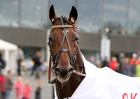 Unique Creationin meno on ollut Suomessa väkevää.