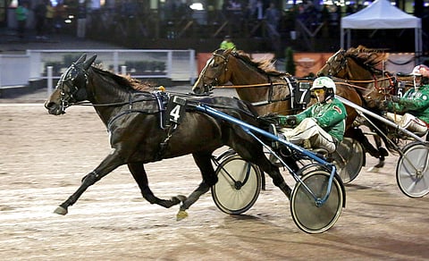 Essie Gonzalesin viimeisin Suomen voitto on viime vuoden syyskuulta. Ari Moilanen ajoi ja Aripekka Pakkanen valmensi.
