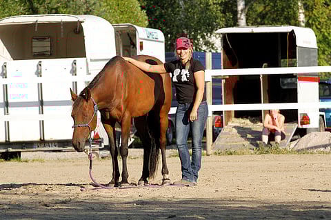 Ravihevonen Vanda esiintyy Mervi Pakolan kanssa hevosen maastakäsittelyn verkkokurssilla.