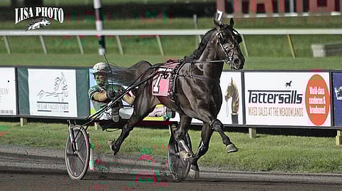 Captain Corey jatkoi voittoputkessa Pocono Downissa. Kuva on Hambo-karsinnan voittojuoksusta.