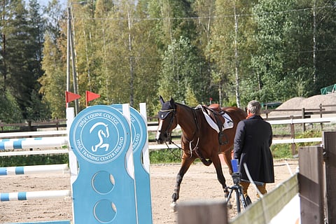 Julie v.d. Verbindingshoeve poistui radalta ilman ratsastajaa. Pyydystämässä liiton puheenjohtaja Marjukka Manninen.