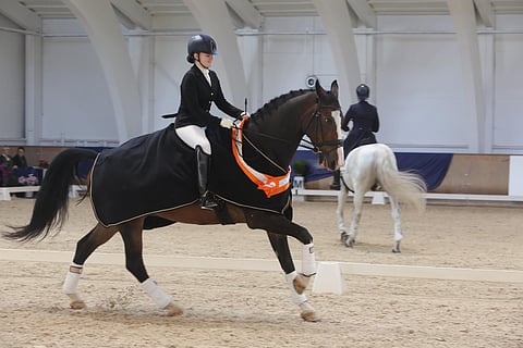 Michaela Meller ja Flink.