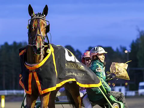 Sahara Flames voitti oman karsintansa ajalla 15,1akp.