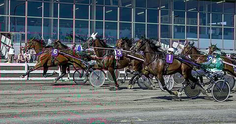 Tornion lauantain 11.9. T75-ravien päälähtönä ajetaan perinteinen Midnight Race 4-5 vuotiaille lämminverisille. Lisäksi mielenkiintoa herättävät lämminveristen rataennätyskoe sekä 3-vuotiaiden kylmäveristen maili.