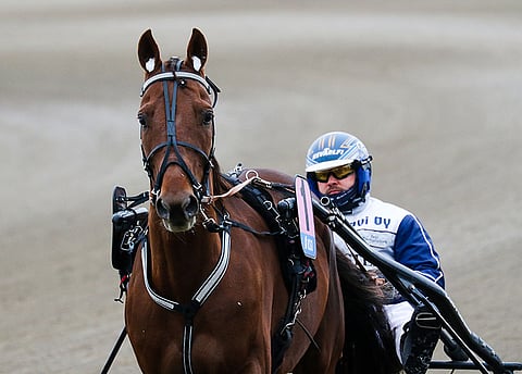 Jani Ruotsalainen ohjasti Rebel Rapidin voittoon torstaina.