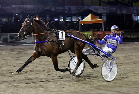 Zumu De La Vegan edellinen ykkössija tuli syyskuun lopussa Vermosta Mats Havulehdon ohjastamana.