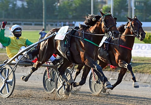 Face Time Bourbon kukisti finaalissa Alrajah Onen. Kuva: Gerard Forni