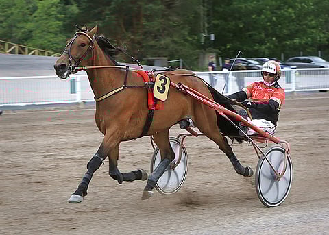 Tapio Perttusen tallin No Limit Star on sopiva ideavarma.