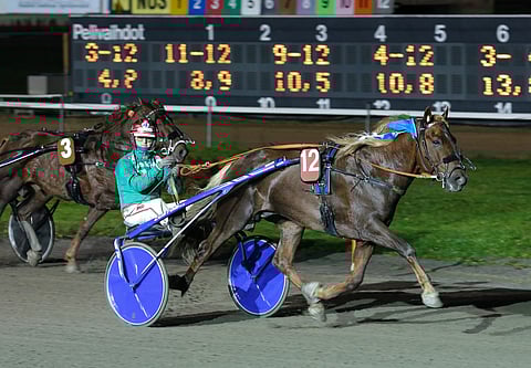 Parvelan Retu jatkoi mykistävää voittokulkuaan kylmäveristen Pohjoismaiden mestaruudessa. Evartti (3) oli urhea kakkonen.