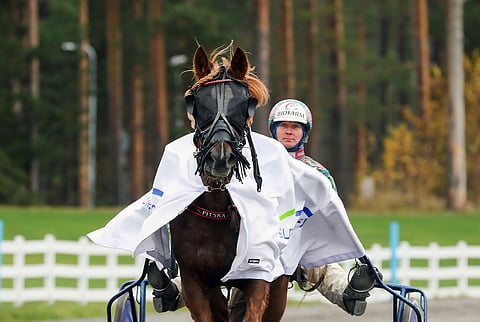 Pitska sai voittoloimen selkäänsä kahdeksannen kerran tänä vuonna.