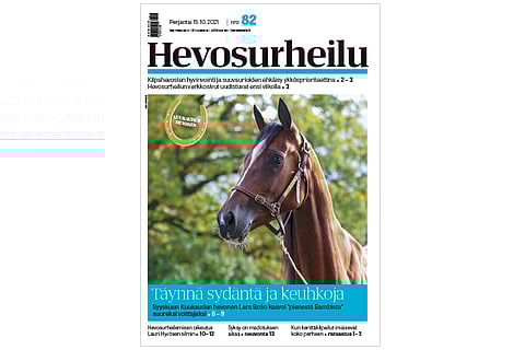 Lara Boko on kokoaan suurempi hevonen. Kannen kuva: Anu Leppänen