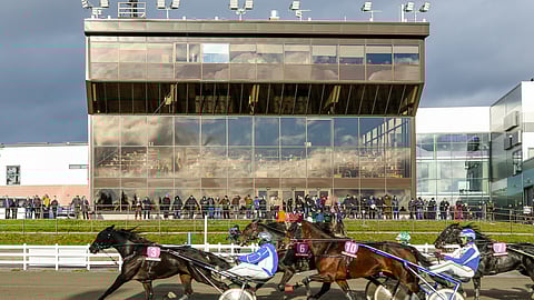 Mikkelissä ravataan marraskuussa kahdet ravit.