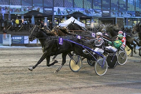 Midnight Prince hallitsi finaalia keulajuoksulla.