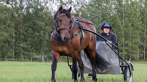 Humiseva ja Tiina Mäkinen esiteltiin Hevosurheilun lähikuvassa 23.8.2019