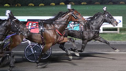 Forbidden Trade puristi arvokkaaseen TVG Open voittoon Meadowlandsissa marraskuussa 2021. Toinen oli Chin Chin Hall ja kolmas Back Of The Neck. Kuva: