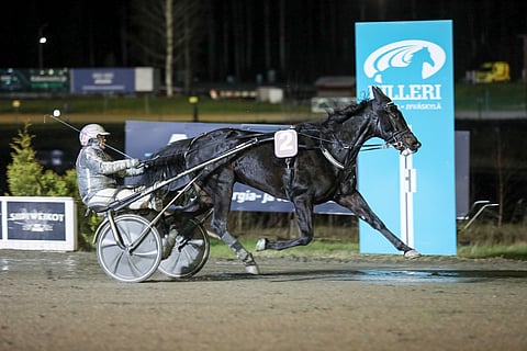 Viime syksyn Kasvattajakruunun voittaja An-Dorra palaa Killerille.