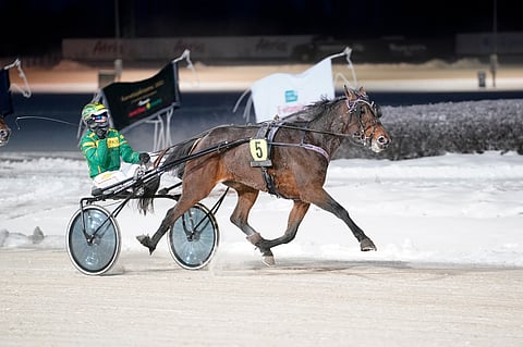 Jukka Torvinen ja MAS For You juhlivat kuukausi sitten Kasvattajakruunun voittoa. Keskiviikkona kaksikko pyrkii toistamaan tempun Uudenmaan Upeimmassa.