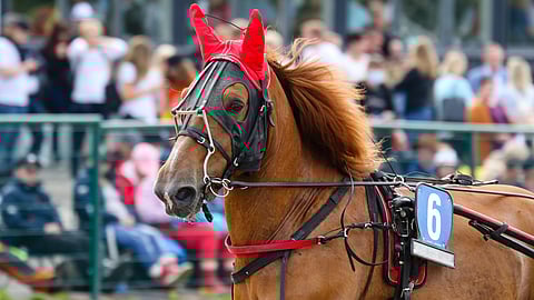 Parantava Vilivillis pystyy voittamaan.