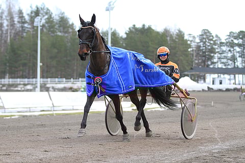 Next Hopen 5-vuotiskausi alkoi lupaavasti, mutta viime kilpailut ovat sujuneet alakanttiin.