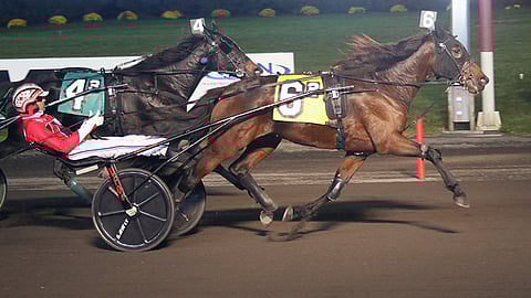 Palermo Hanover kiri johtaneen tallikaverin ohi Kindergarten Classicissa lauantaina.