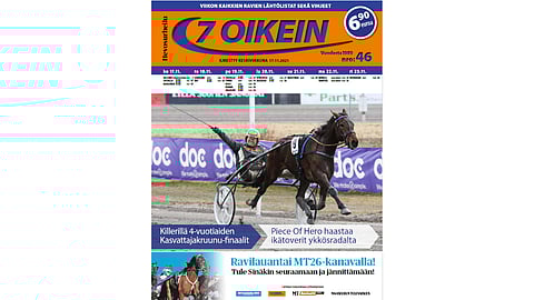 Ikäluokkien Kasvattajakruunuissa finaaleja ja välieriä