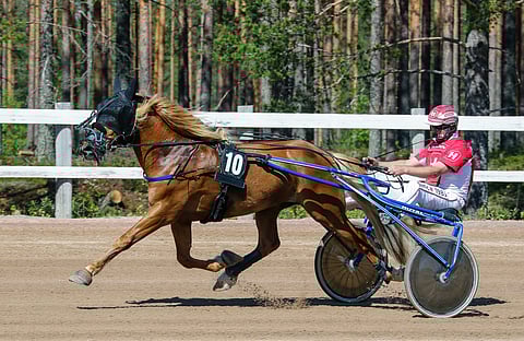 Alpertto kulki hienosti kaudella 2021, ja nyt hevonen on virinnyt jälleen huippuiskuun.