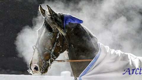 Farzad Boko höyrysi lähdön jälkeen Rovaniemen pakkasessa.