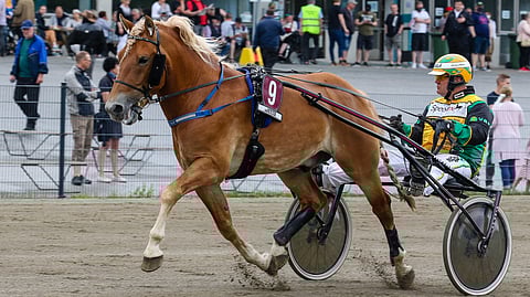 Päätöskohteen ideavarmaksi nostetaan Rokin Maxi.