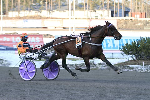 M.S. Triple J. aloitti Suomessa Matias Salon tallista ja siirtyi kesäkuun lopulla Iikka Nurmoselle.