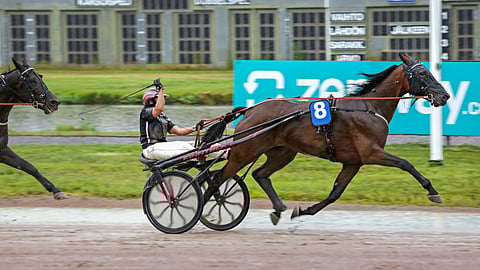 Kuvassa Miia Salminen tuulettaa Vermossa Zumumanin voittoa.