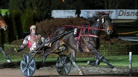 Grainfield Aidenin voitto ei ollut Hannu Korvelle yllätys.