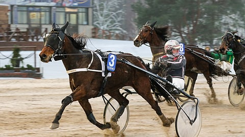 Pretty Vision pyrkii kärkipaikalla, josta sen koko matkan johto ei olisi yllätys.