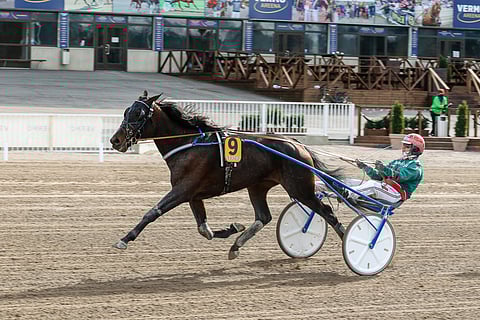 Indigo Sisu irrotteli kepein askelin Finlandia-päivänä Seppeleajon voittoon.