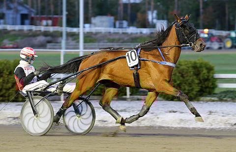 Zolamanin kausi oli menestys, vaikka Uudenmaan Upein jääkin väliin.